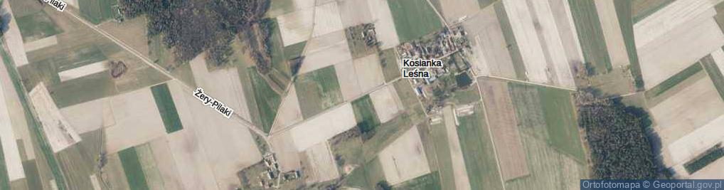 Zdjęcie satelitarne Kosianka Leśna ul.